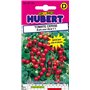 20 Graines de Tomate Cerise Balconi Red F1