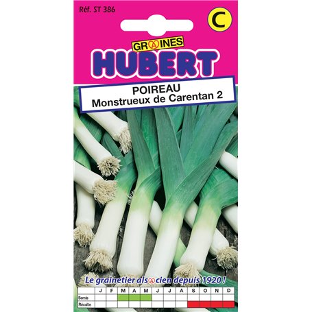 Graines de Poireau Monstrueux de Carentan 2-3 grammes