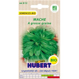 Graines de Mache a grosse graine BIO - 3 grammes