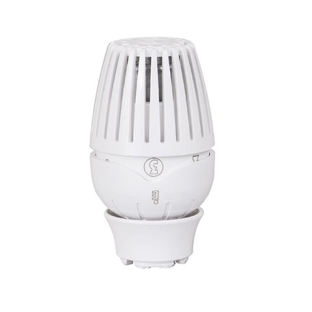 GIACOMINI Tête de radiateur thermostatique avec capteur de liquide R460X001