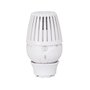 GIACOMINI Tête de radiateur thermostatique avec capteur de liquide R460X001