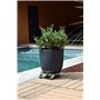 LOUIS MOULIN Roule Plante ALU Rond 30 cm 8048 Made in France
