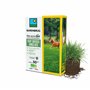 BARENBRUG - Ray-grass anglais BIO - Rapide d’Installation - Polyvalent et Appétent - Durée de Vie 4 ans et + - Production Alimen