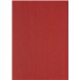 Clairefontaine 2773C Lot de 100 feuilles de couverture en carton avec dos en cuir Rouge Format A4 240 g/m²