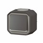 va et vient - 10a - témoin - anthracite - saillie - legrand plexo 069721l