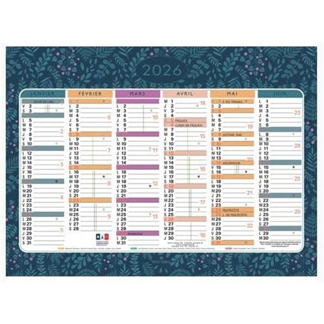 Exacompta - Calendrier Illustré Mini Labo 17x13cm Semestriel Janvier 2026 à Décembre 2026 - Théme Fleurie