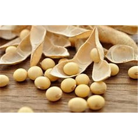 X2 Bouchon BOITIER AI BF1B Cache pour Appareil Photo Compatible Nikon a Monture Compatible Tous NIKONS Type BF-1B - ADAPTOUT Mar