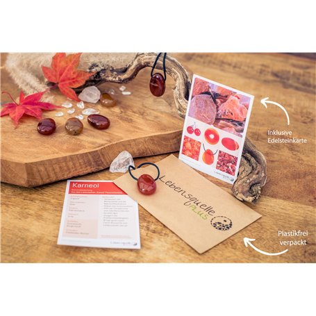 ProPlip Clé complète avec électronique à Programmer Compatible Kangoo Modus Clio Master Scénic Logan Trafic Sandero Duster Vivar