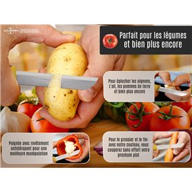 Clé complète avec électronique à Programmer pour Renault Master Kangoo Clio Twingo 433mhz 7946 Coque Télécommande Vierge 1 Bouto