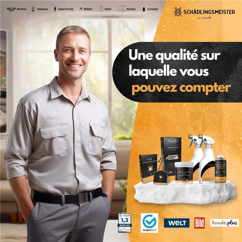 Donjons & Dragons : L'Honneur des Voleurs