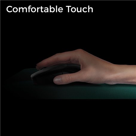 Mufasa : Le Roi Lion