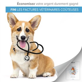 Dispositif De Verrouillage De Disjonc