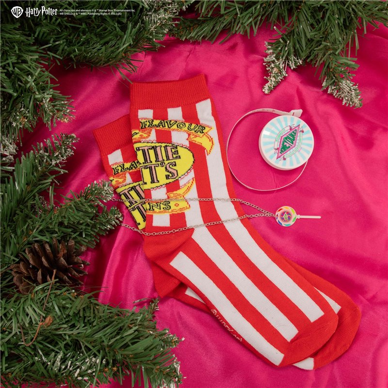 Robot lave-vitres - EZICLEAN WINDOBOT S1 One - 72 W - 72 dB - 5 m de câble - Noir