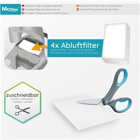 Balai Nettoyeur Vapeur - EZICLEAN STEAM WAVE 360 - 1200 W - 24 g/min - 450 ml - Noir / Bleu