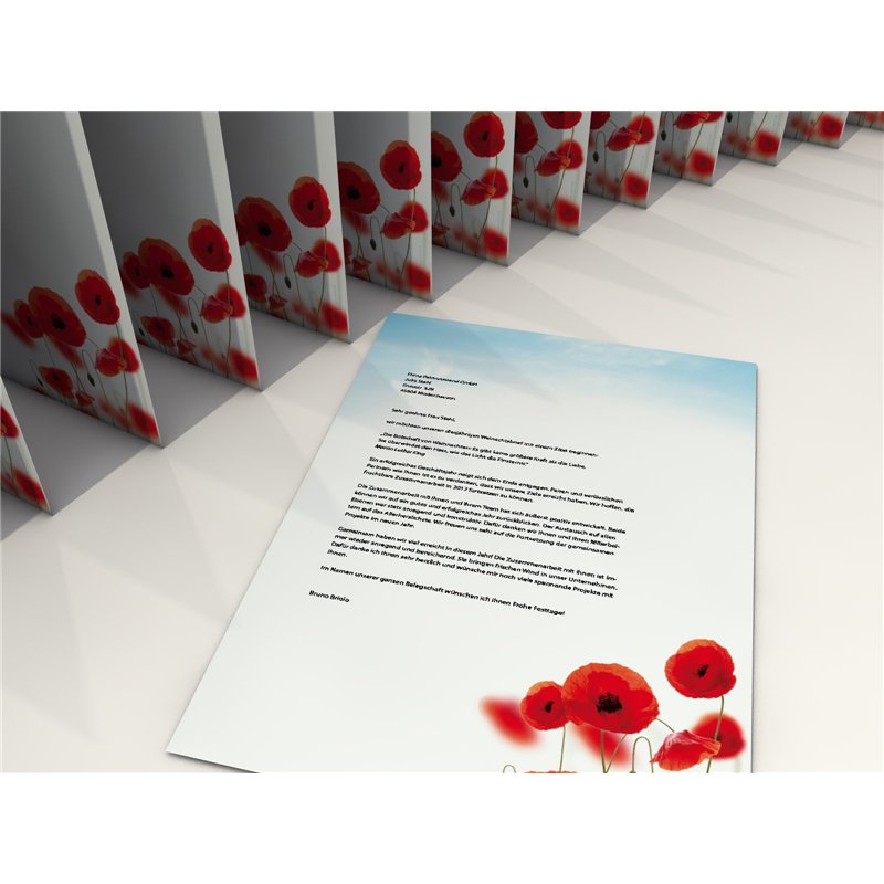 STELARY Papier Cuisson pour Air Fryer - 300 Feuilles