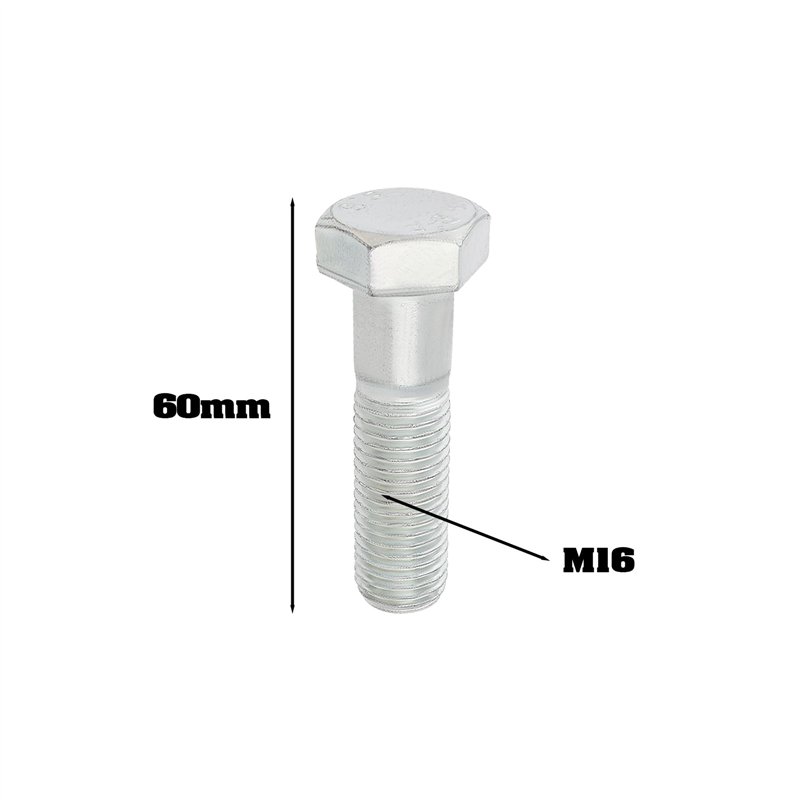 Flacon & Spray à remplir Argent Colloïdal Anti Démangeaison Tout-en-1 pour Chien & Chat : Soin (Nettoyant