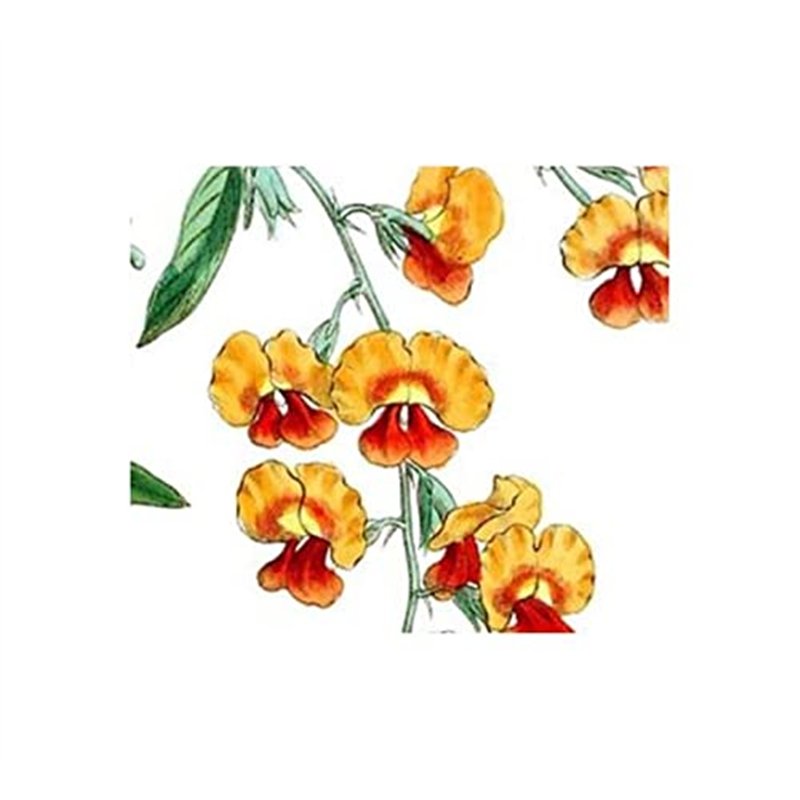 Taros Trade 248758 Verre de rétroviseur ext. gauche