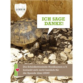 Schläfer | 4390 - Tube Plongeur pour Siphon avec Bride, Tuyau de Vidange Réglable en Laiton 1" 1/4 Ø 32 x 250 mm Chromé Rallonge