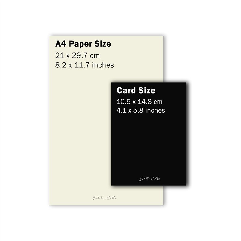 FABER-CASTELL 205036 - Kit de Peinture Connector avec boîte de Peinture à l'eau, Lot de 4 pinceaux et gobelets à pinceaux