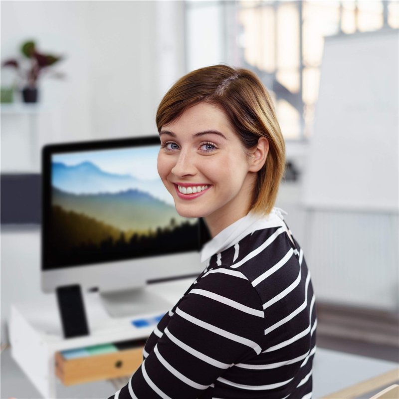 12446 - BULLYLAND - Walt Disney La Belle et le Clochard - Figurine Vagabond