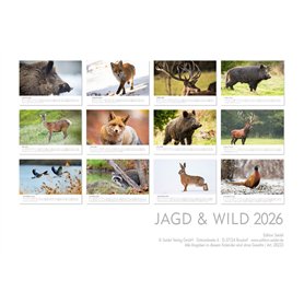 Wilkinson Sword Tondeuse/Rasoir Shave And Style