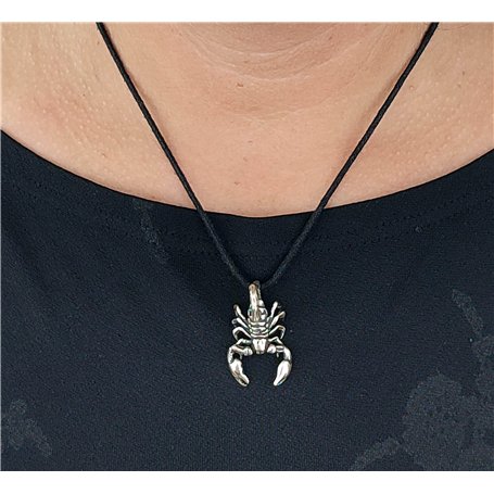 Febi bilstein 05257 Durite de radiateur