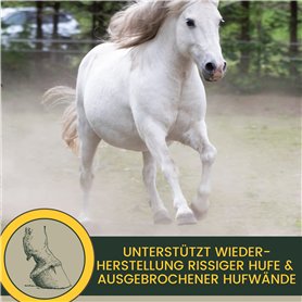 BOSS Hommes Zair S doc case Porte-documents structuré avec logo imprimé en transfert