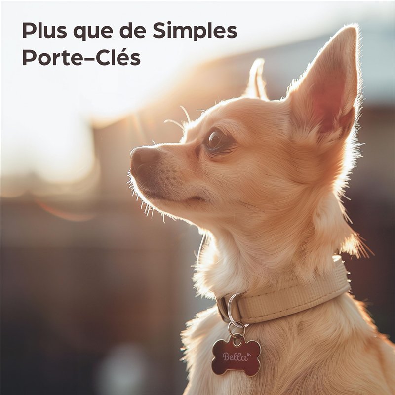 Chaussures de Football pour Adultes Puma King Match Fg/Ag Rouge