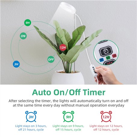 T-shirt à manches courtes femme Puma W Tad Essentialsential Race Bleu (XS)