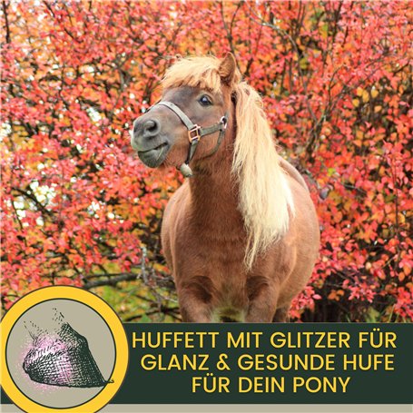 Roumanie 50 Divers Timbres spéciaux (Timbres pour Les collectionneurs)