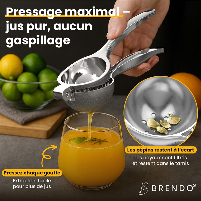 HELLA 2KA 004 331-031 Feu éclaireur de plaque - 12V - gauche/droite