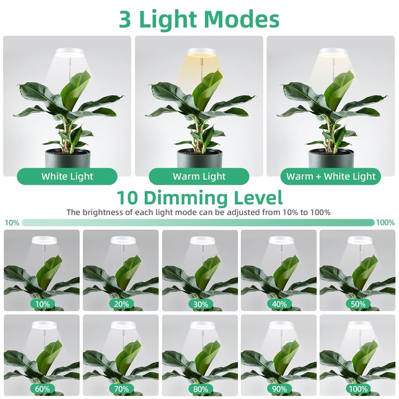 Kneipp Soin des lèvres velouté doux (1 x 4,7 g)