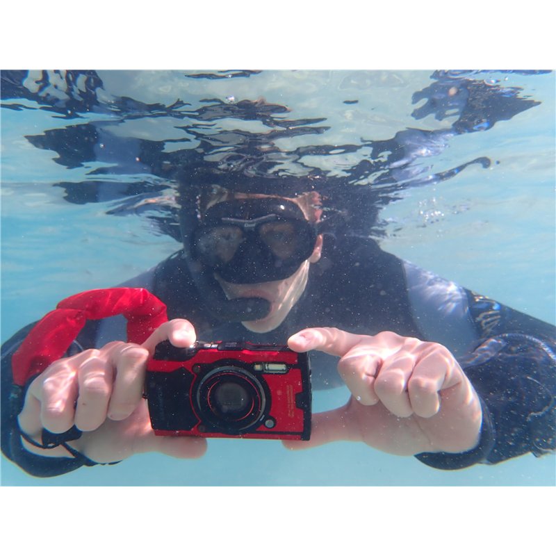 Gardebruk® Broyeur végétaux et Branches 3100 W Silencieux Branches Max. 44mm 2X bac 60L déchiqueteuse Branches broyeur électriqu