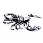 Kiss of Leather Pendentif Scorpion en argent sterling 925 N° 11