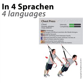 0mm I V2A Acier inoxydable I Collier de serrage à une oreille I Collier de ser