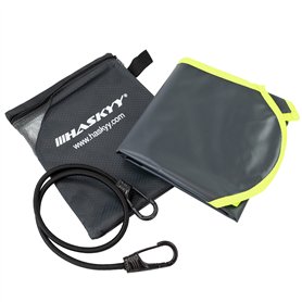 l'esprit Français. Schmitt