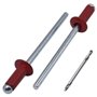 SKIR'CO Lot de 100 rivets aveugles peints 4