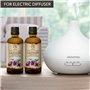Huile Essentielle de Lavande - 2x100ml - Lavandula Angustifolia pour Diffuseur - Aromathérapie - Pure et Naturelle - HE Lavande 