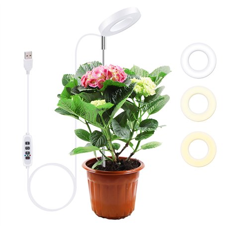 Mcbazel Lampe Plante