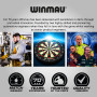 WINMAU Darts Joe Cullen Rockstar 20g Laiton Jeu de fléchettes avec ailettes et tiges de fléchettes et Carte de Score Incluse