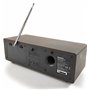 Panasonic Radio DAB/FM RF-D100BTEGT I Fréquences FM/DAB/DAB+ Bluetooth 10W Egaliseur 5 préréglages Horloge fonctionne sur secteu