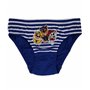 Paw Patrol - Chase, Marshall & Rubble - 5 Culottes Slips en Coton pour garçons Culotte sous-vêtements - 18-24 Mois: 92cm
