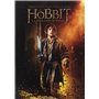 Le Hobbit - La désolation de Smaug - DVD + DIGITAL Ultraviolet [DVD]