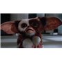 Gremlins + Gremlins 2 : La Nouvelle Génération [Blu-Ray]