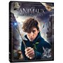 Les Animaux fantastiques - Le monde des Sorciers de J.K. Rowling - DVD