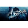 Harry Potter-L'intégrale des 8 Films [+ Puzzle 3D Wrebbit]