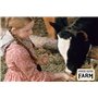 Unsere Kleine Farm-Die Komplette Serie [Import]
