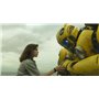 Bumblebee