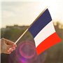 10 drapeaux Français en nylon tricolore à main pour le 14 Juillet TRIXES