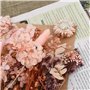 Bouquet de Fleurs Séchées Vraies pour la Décoration Bricolage